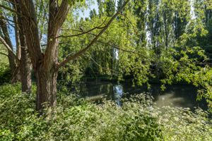 Canal View- click for photo gallery